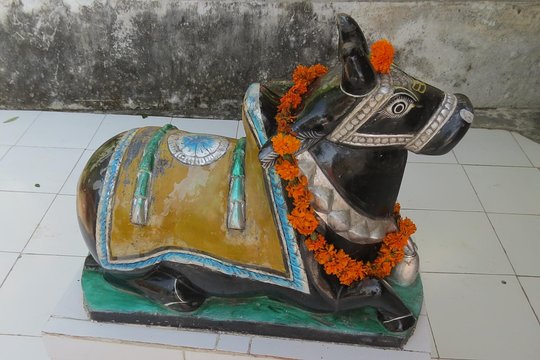 Tour image 4