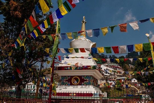 Tour image 6