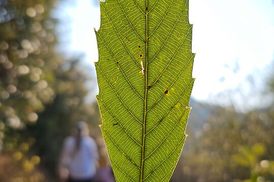 Tour image 13